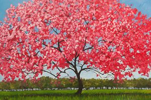 Pink Blossoms - Patty Baker