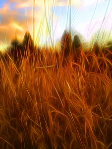 The Fire Season