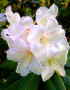 Ethereal Rhodos