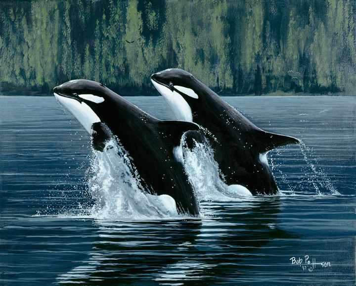 Joyful Pod, Orca, Walercolor Print, cheapest Killer Whales, Ocean, Marine Life, Blue, Green