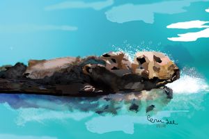 Mommy and Baby Sea Otter