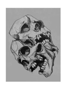 Double Skulls