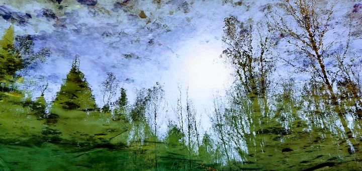 Pond - Along The Bruce - Photo - Jennifer Lynn Steele - Canadian Artist