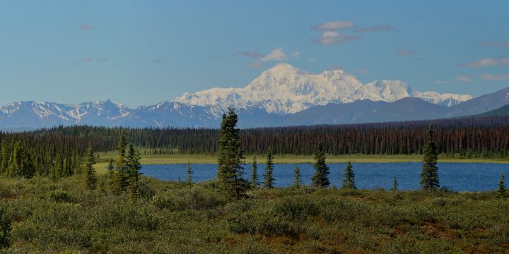 Pond With a View of Mt. Denali - Adventure Images