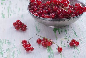 Ripe red currants in a metal plate