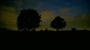 Hay Fields at night