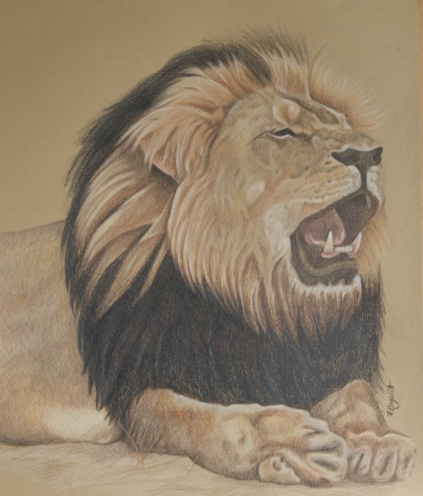 Cecil the lion - Tracey Bryant - Drawings & Illustration, Animals, Birds, &  Fish, Wild Cats, African Lion - ArtPal