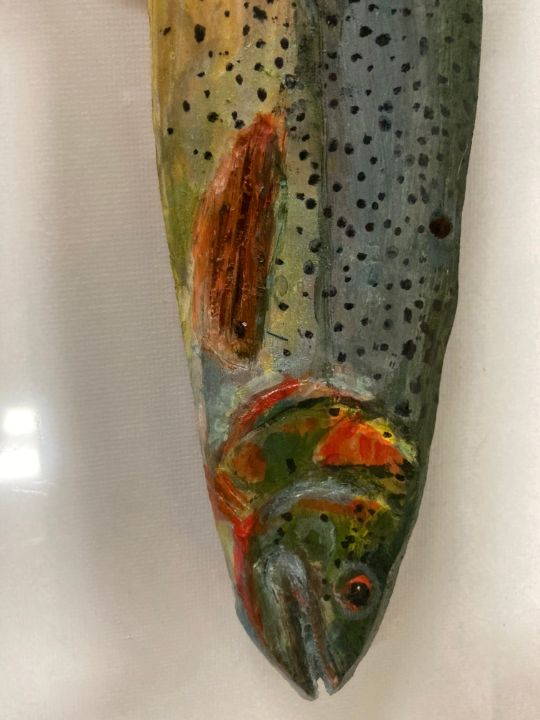 Fine sported trout - DWK arts