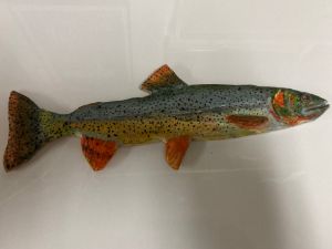 Fine spotted trout