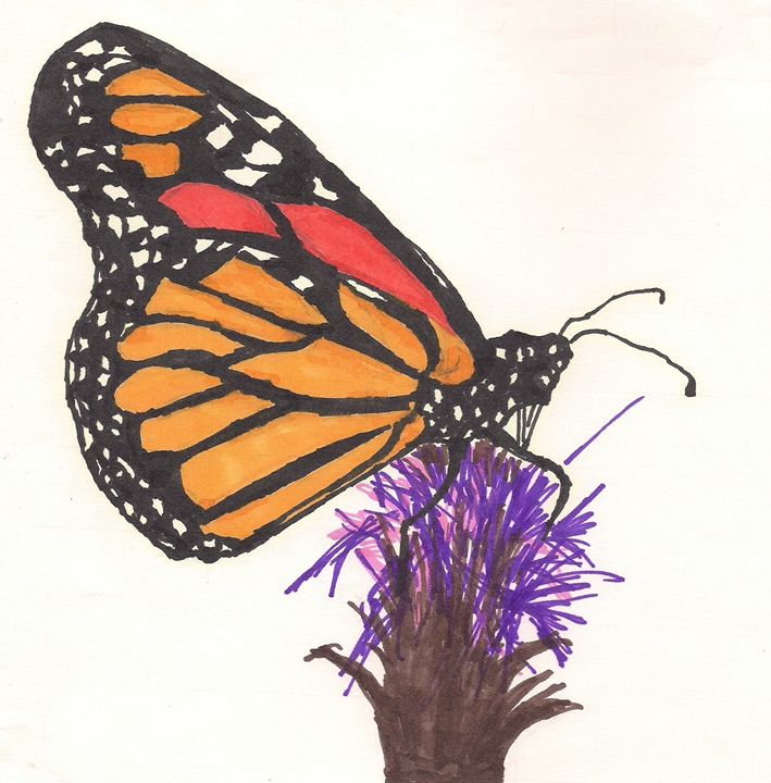 Butterfly Coloring Book and Drawing Book:Amazon.com:Appstore for Android