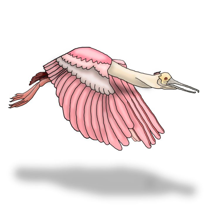 Spoonbill Memes