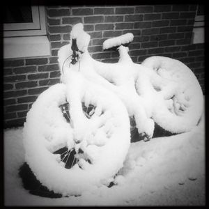 Snow Bike - Peter Carini