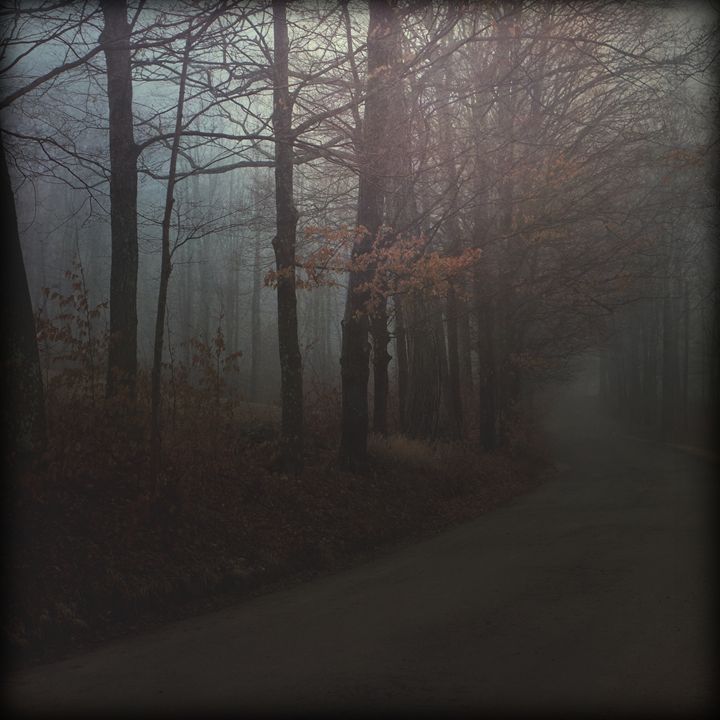 Somber - Peter Carini - Photography, Landscapes & Nature, Paths ...