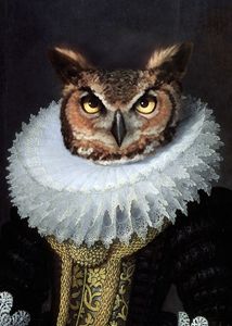 The Lady Owl