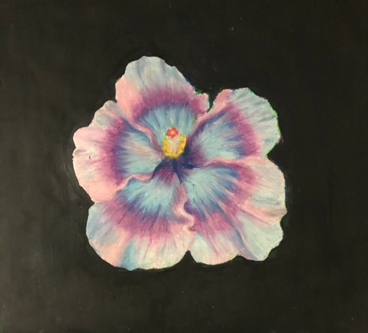 Colorful Hibiscus - Nicole Parnett
