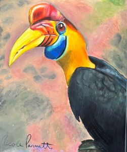 Knobbed Hornbill