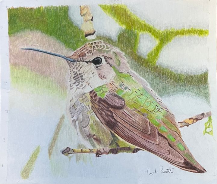 Perching Hummingbird - Nicole Parnett