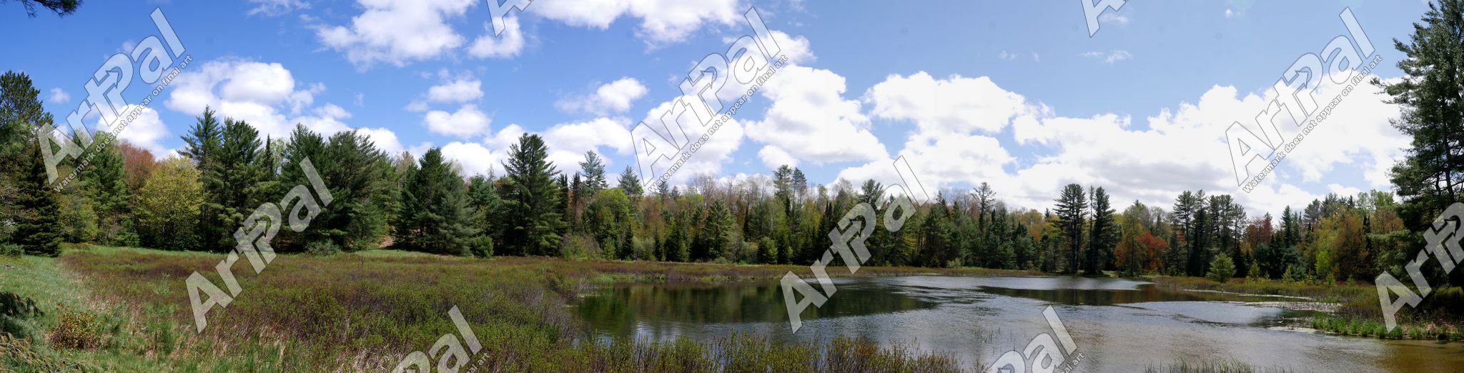 Tahquamenon River at Eagles Nest - Peninsula Art Canvas - Photography ...