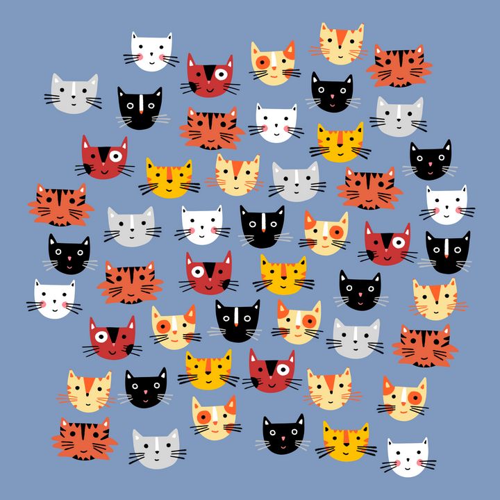 Multiple Cats - Nic Squirrell