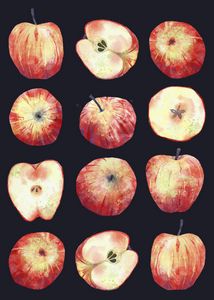 Apples in the Dark - Nic Squirrell