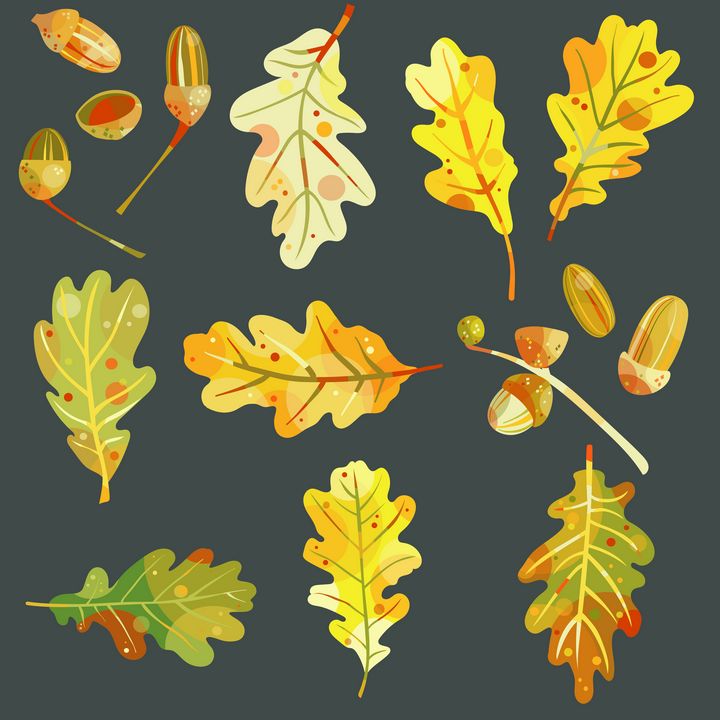 Oak Leaves and Acorns - Nic Squirrell