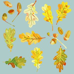Oak Leaves and Acorns on Blue - Nic Squirrell