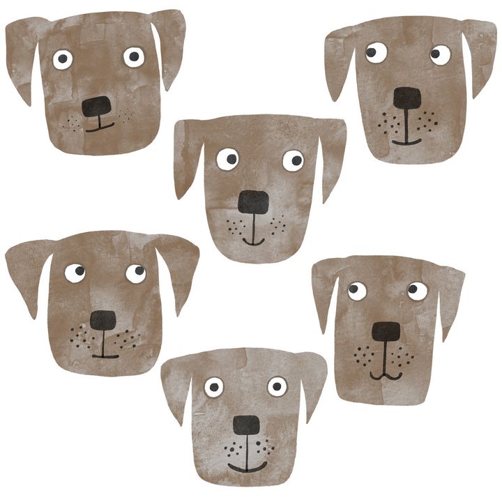 Chocolate Labrador Retriever Dogs - Nic Squirrell