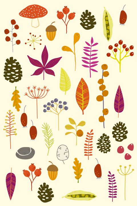 Autumn Nature Bits - Nic Squirrell