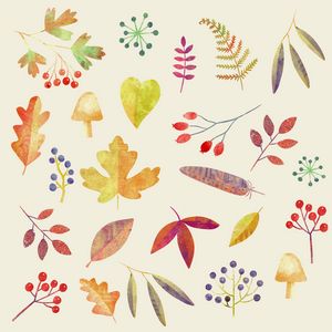 Autumn Walks - Nic Squirrell