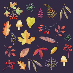 Autumn Walks in the Dark - Nic Squirrell