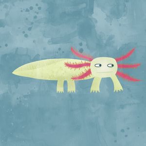 Axolotl - Nic Squirrell