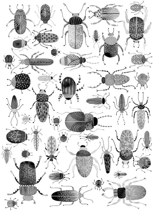 Inky Beetles - Nic Squirrell