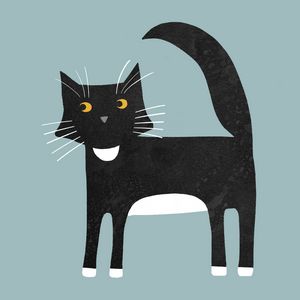 Black and White Tuxedo Cat - Nic Squirrell