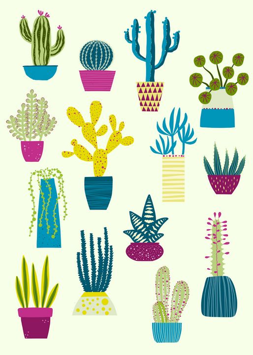 Cactus Garden - Nic Squirrell