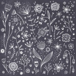 Chalkboard Flowers - Nic Squirrell
