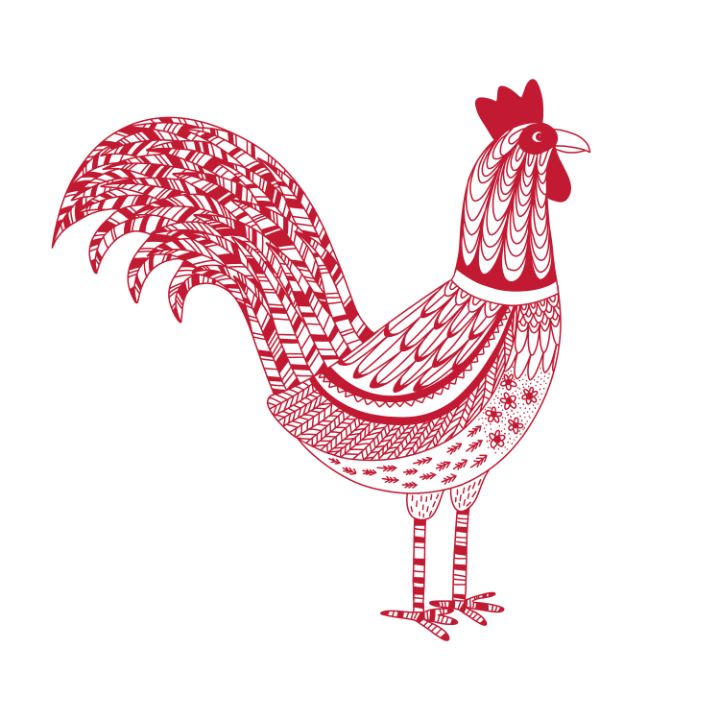 The Most Magnificent Rooster - Nic Squirrell