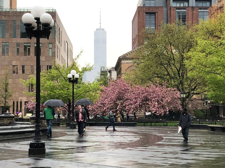 Spring in Washington Square Park - CJ Thompson