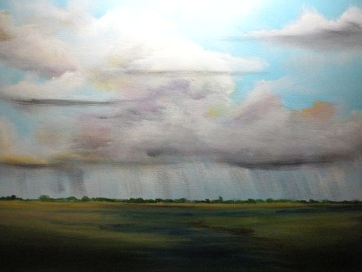 Summer rain over marsh - Douglas Harn