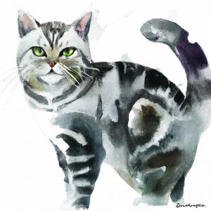 American Shorthair Cat - Wildlife Canvas
