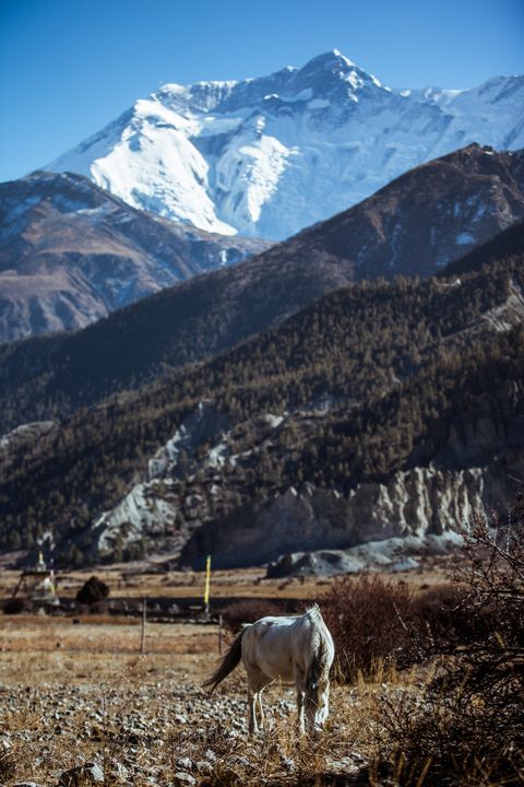 NEPAL HIMALAYA & THE ALPS 写真集 Nepal Himalaya scenery - My Secret Art - Photography, Landscapes