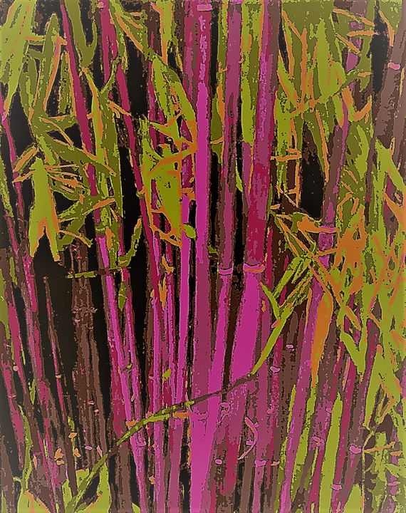 Bambous à cannes rouges - Cothy'Art