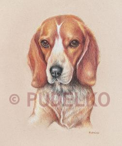 DUKE