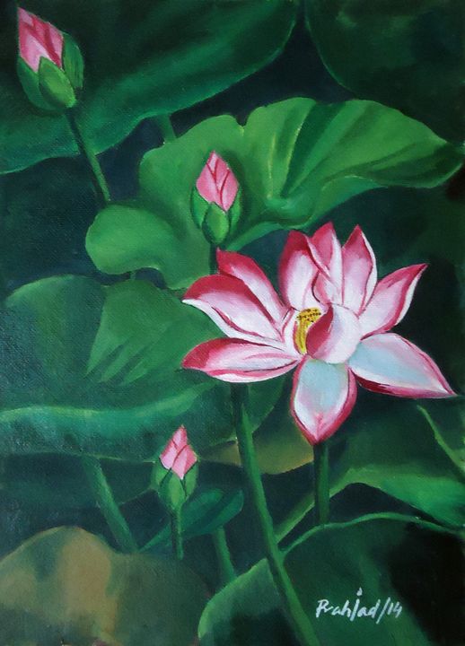 blooming lotus 1 - artshala - Paintings & Prints, Flowers, Plants