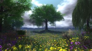 Shade Seeker