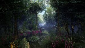 Forgotten Path