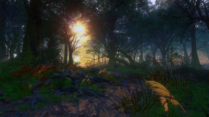 Morning Shine - M.C. Bauer