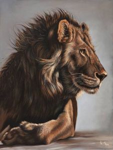 the lion drawing