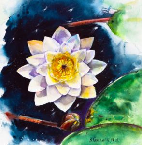 Water lily. Watercolor painting.