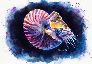 Nautilus in ocean waters. Watercolor