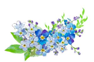 Forget-me-nots in a bouquet.